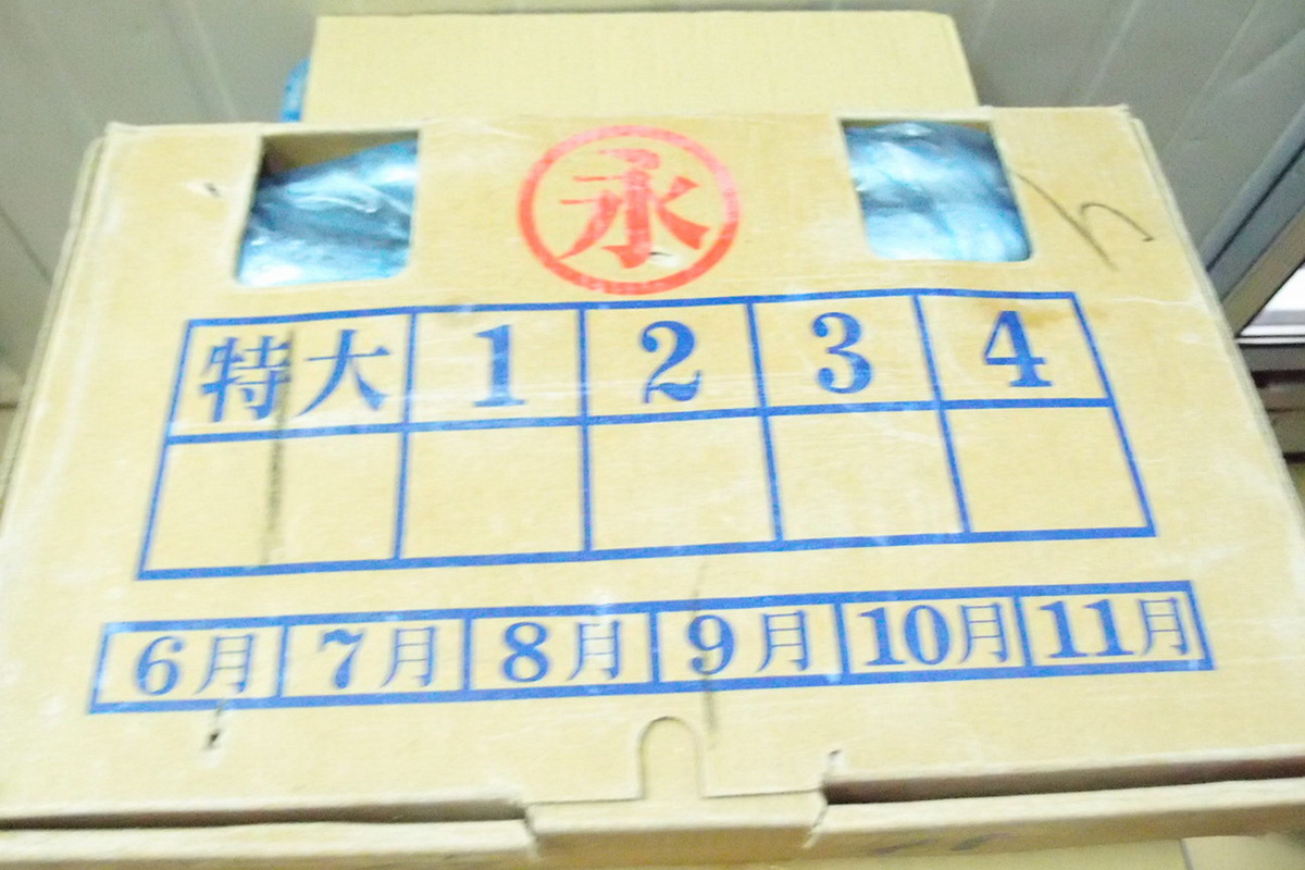 秋刀魚-1號 - 圖片 3