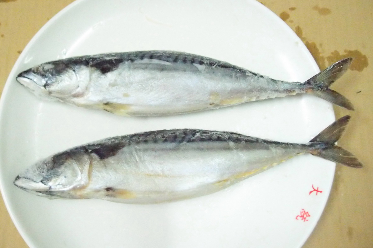 鹽魚-綠-磅秤 - 圖片 3