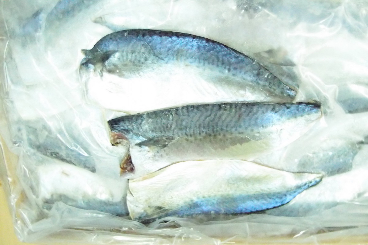 無頭鹽魚35/40 - 圖片 2