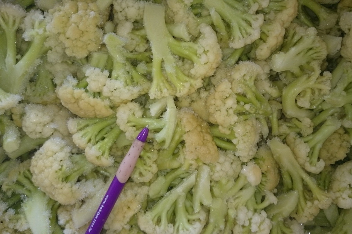 白花菜-散10kg - 圖片 1
