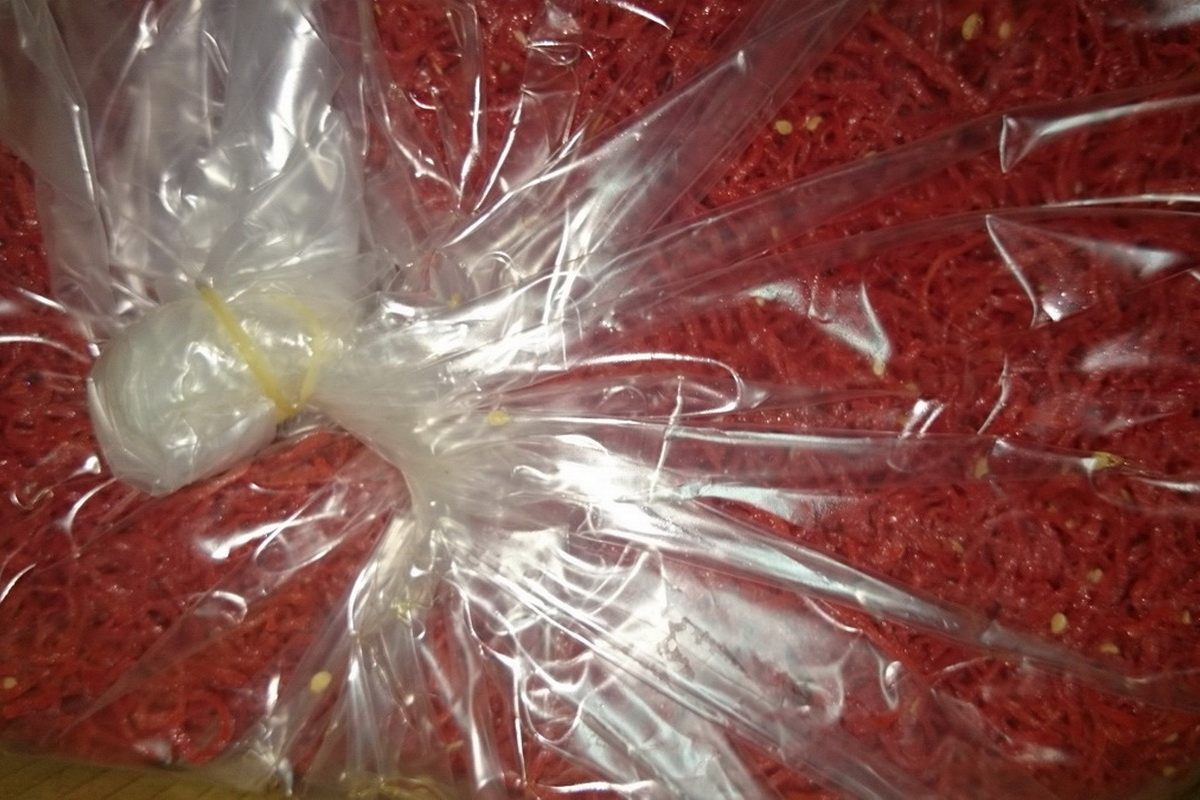紅豆支-大 - 圖片 1