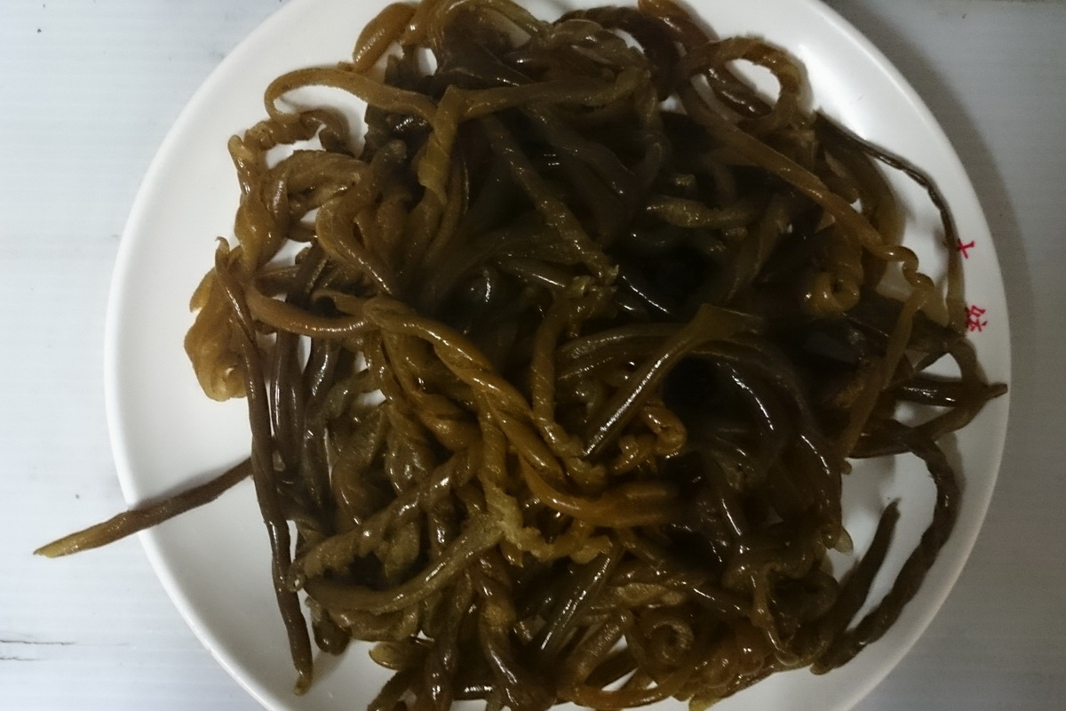 海帶茸 - 圖片 1