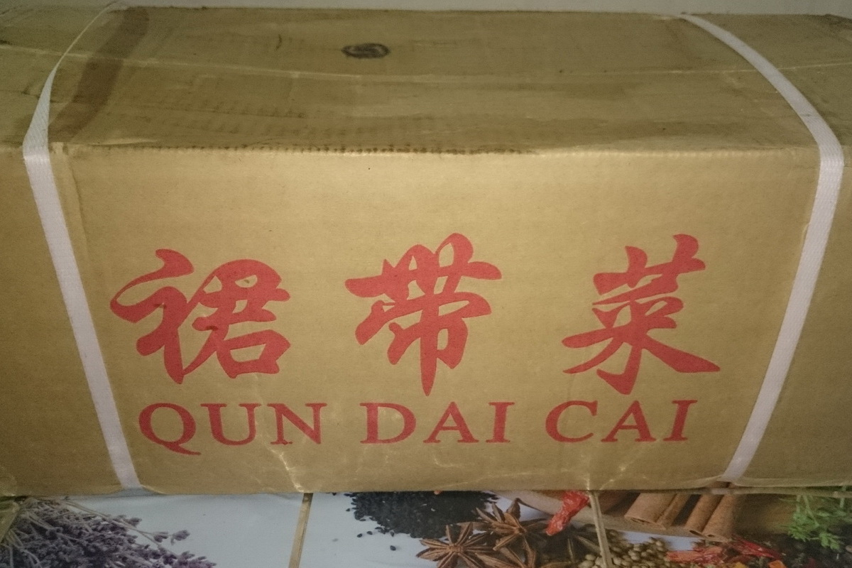 海帶苗/箱