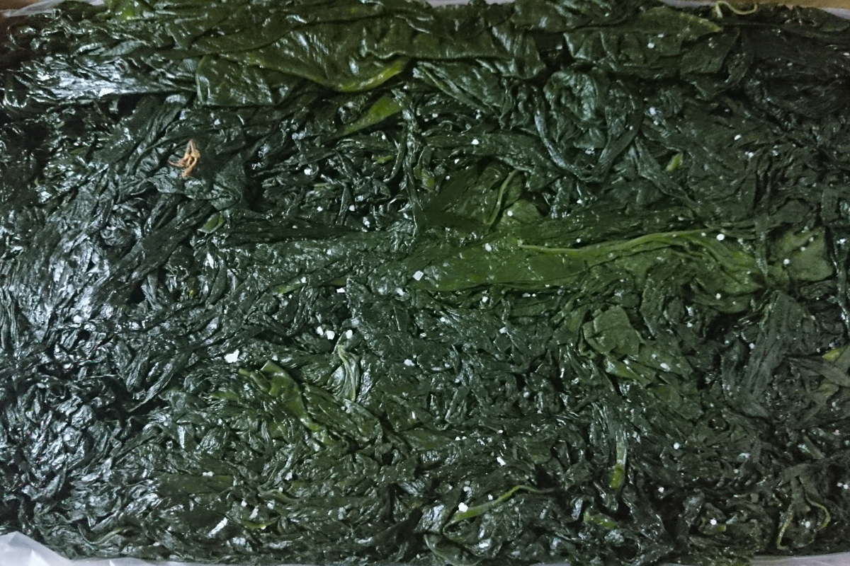 海帶苗/箱 - 圖片 1