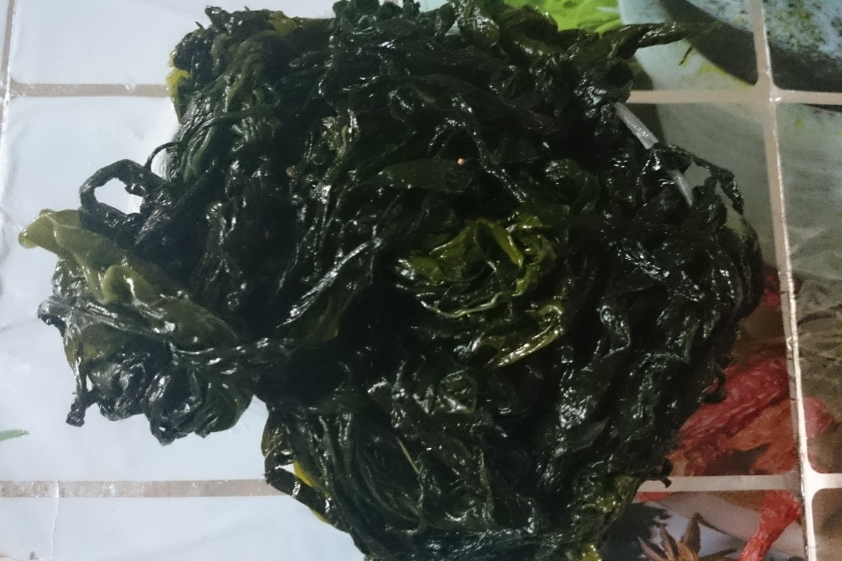 海帶苗/箱 - 圖片 2