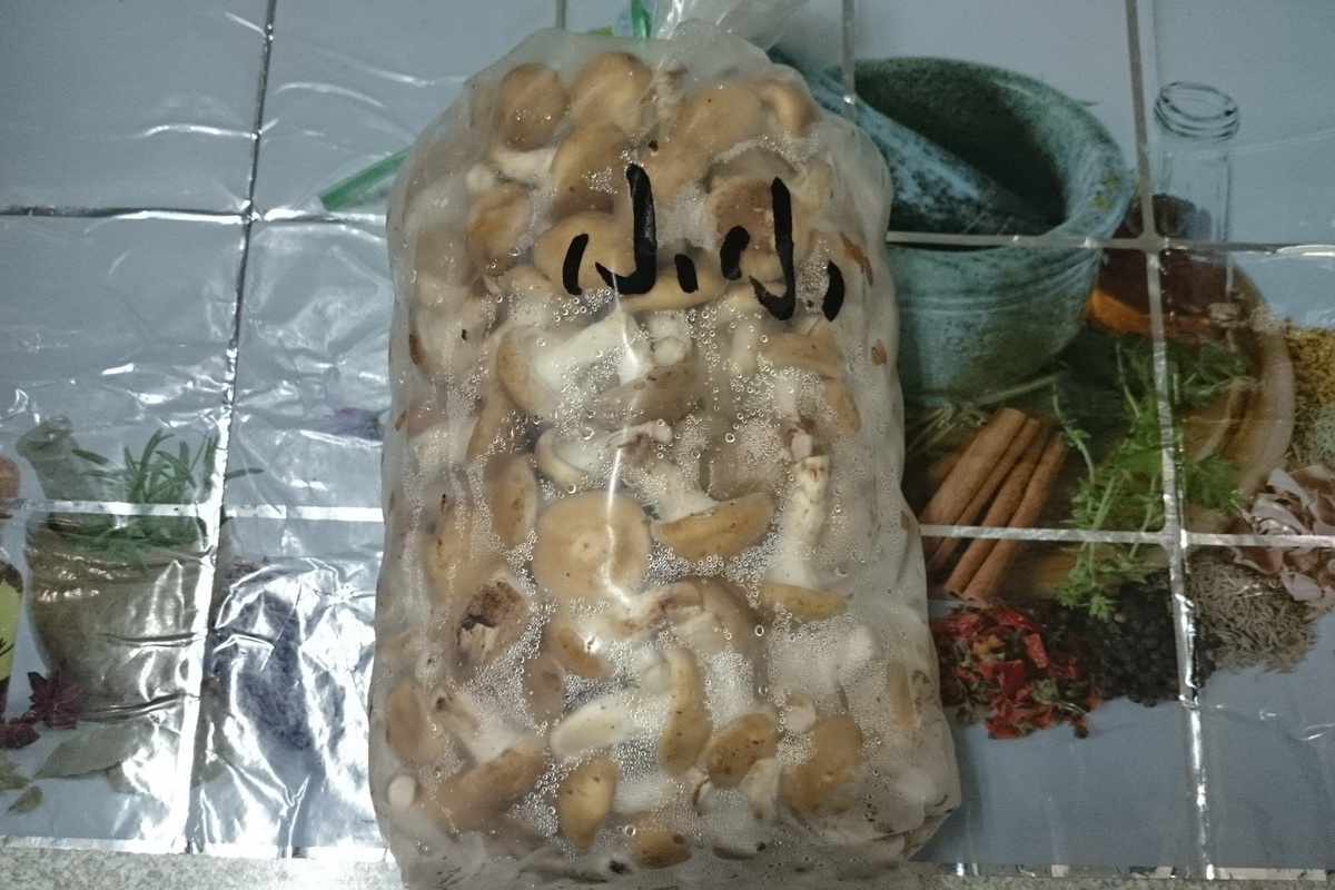 生香菇(小小)