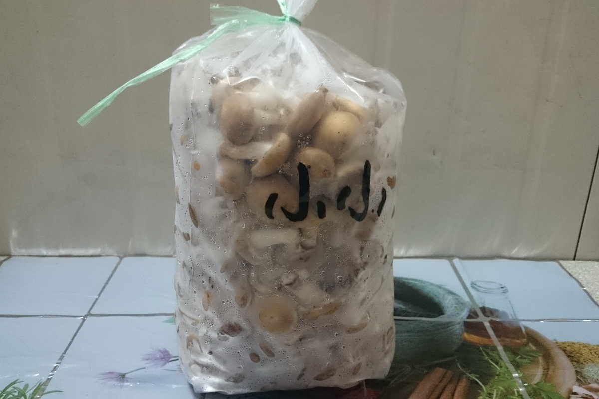 生香菇(小小) - 圖片 1