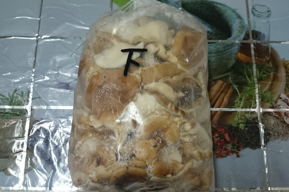 生香菇(下)B