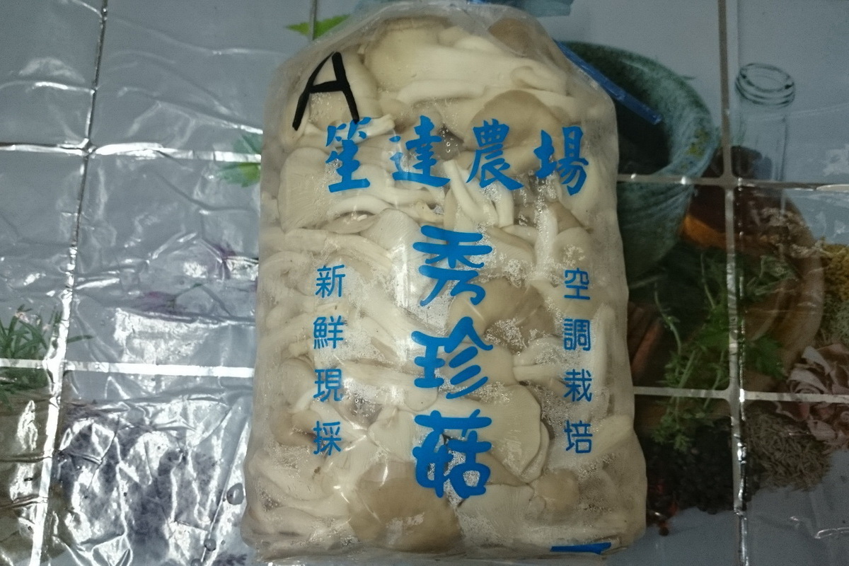 袖珍菇A