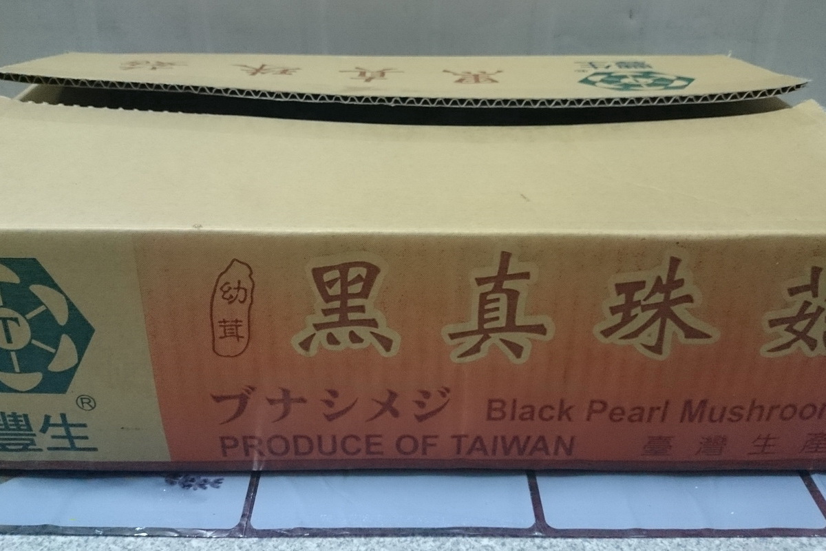 鴻嘻菇