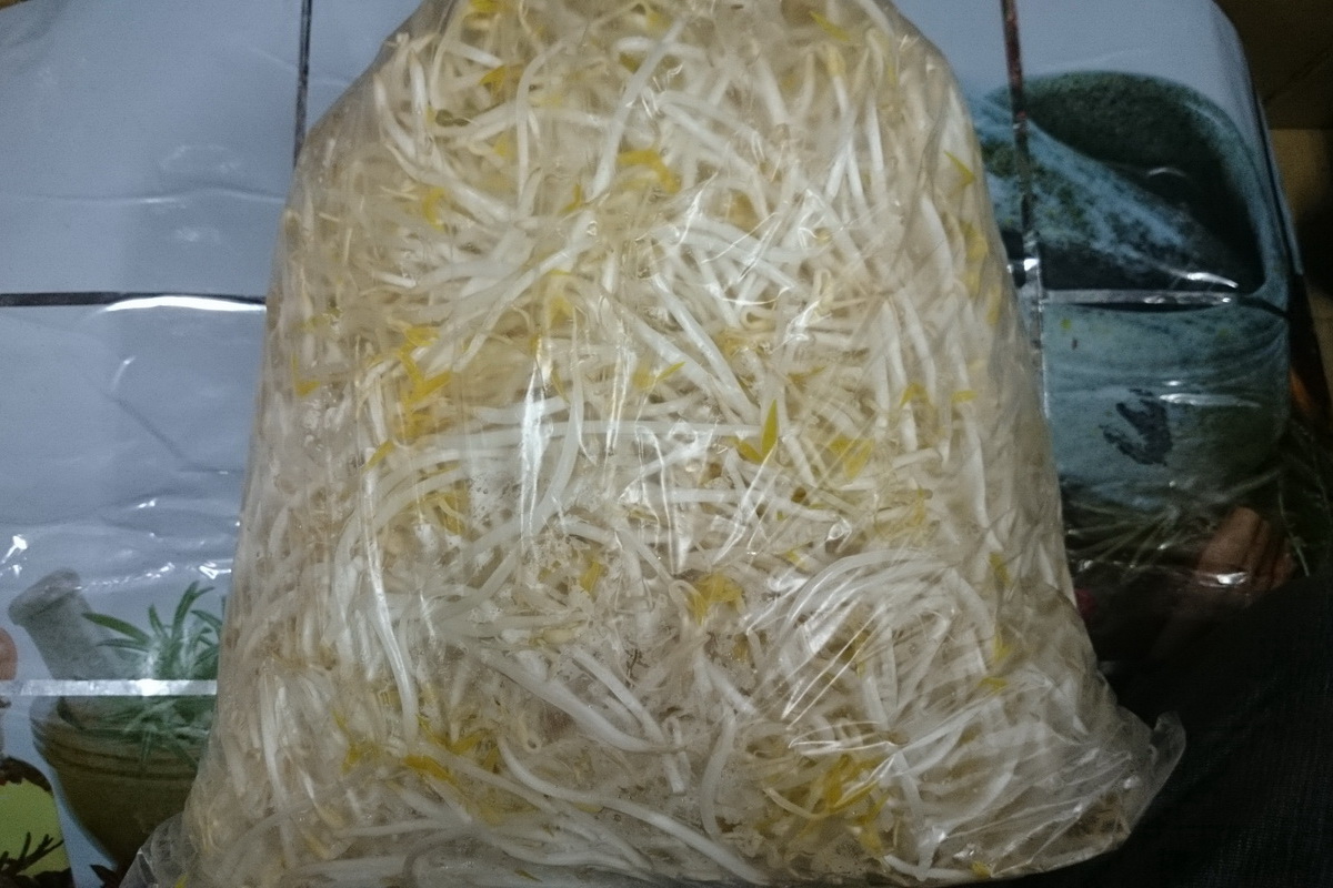 豆芽菜