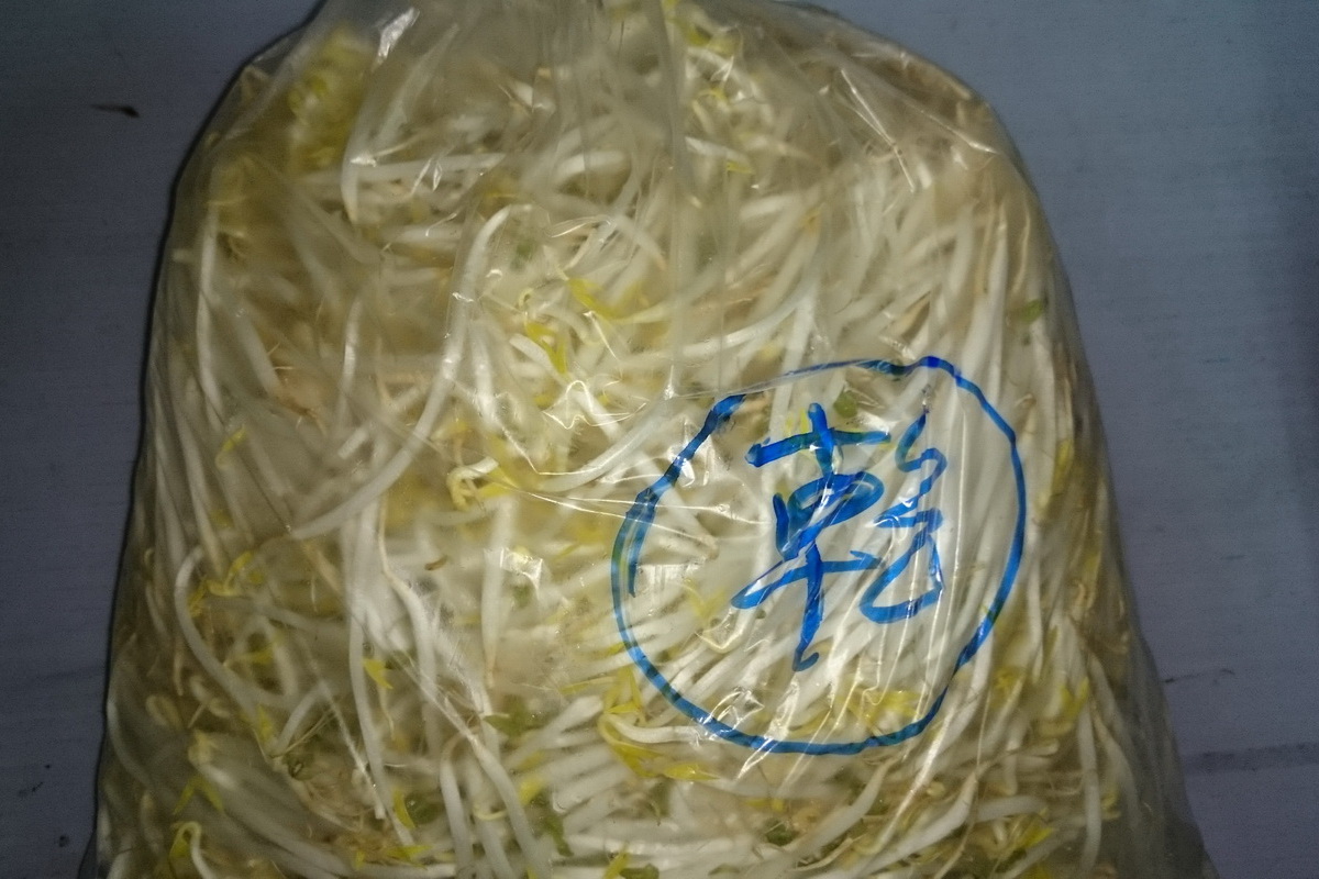 豆芽菜 (有機)
