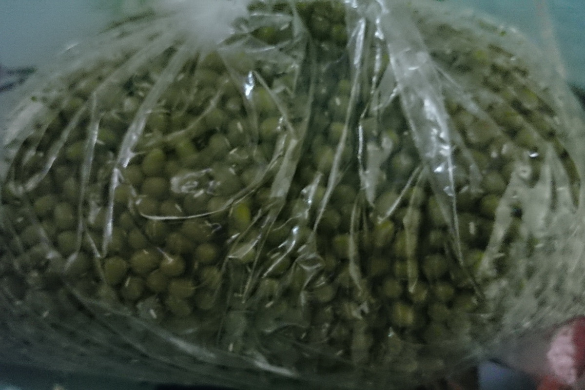 毛綠豆